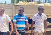 Photo of Four Held in Cocoa Smuggling Operation Involving Over 100 Bags