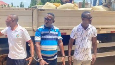 Photo of Four Held in Cocoa Smuggling Operation Involving Over 100 Bags