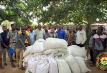 Photo of Maxwell Lukutor Supports South Tongu Rice Farmers with Seedlings and Subsidized Tractor Services