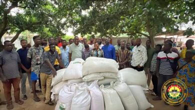 Photo of Maxwell Lukutor Supports South Tongu Rice Farmers with Seedlings and Subsidized Tractor Services