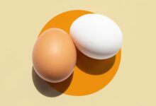 Photo of The difference between brown and white eggs — Explained by Science