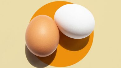 Photo of The difference between brown and white eggs — Explained by Science