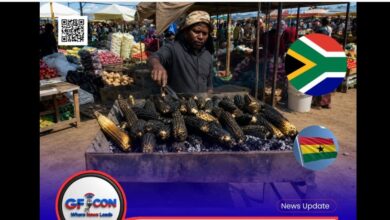 Photo of “Zulu Man in South Africa Allegedly Attempts to Take Over Ghanaian’s Roasted Corn Business, Ends Up Roasting the Corn to Ashes”